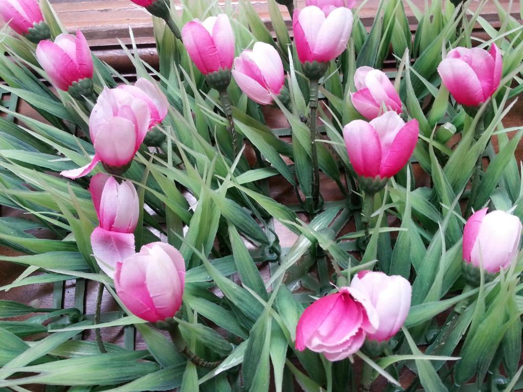 Pink Tulip Hotel Ho-Chi-Minh-Stadt Exterior foto
